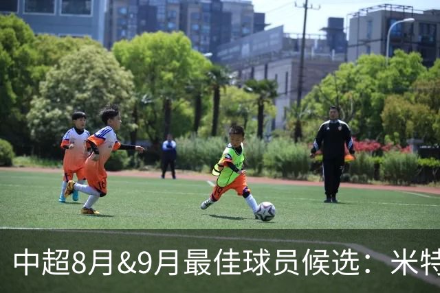 中超8月&9月最佳球员候选：米特里策、克雷桑、法比奥等8将入围