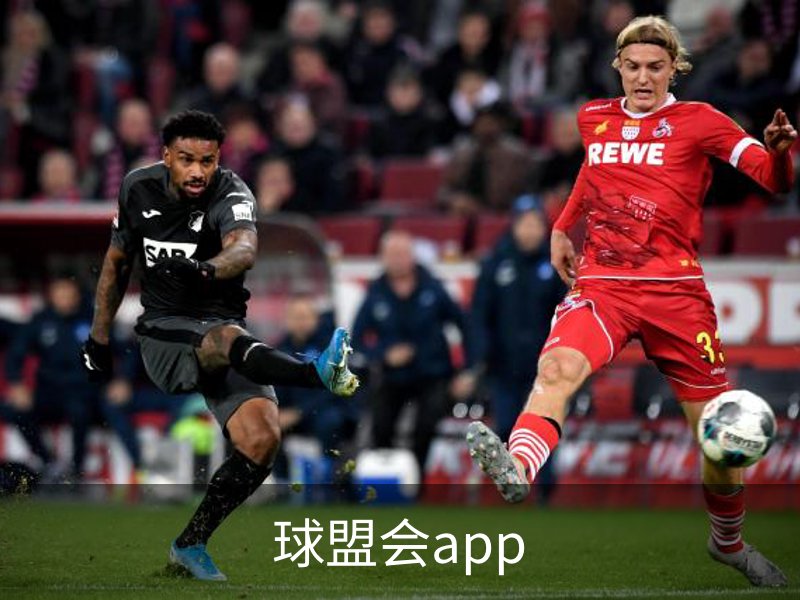 了解球盟会app